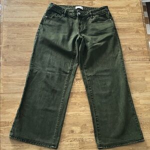 PacSun Eco Green Low Rise Wide Leg Jeans
